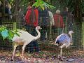 25ste Herfstwandeling van Armand en Judith op 23-10-2011 (40)